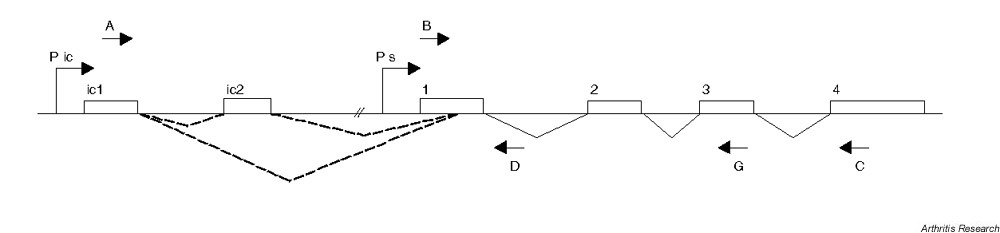 Supplementary Figure 1