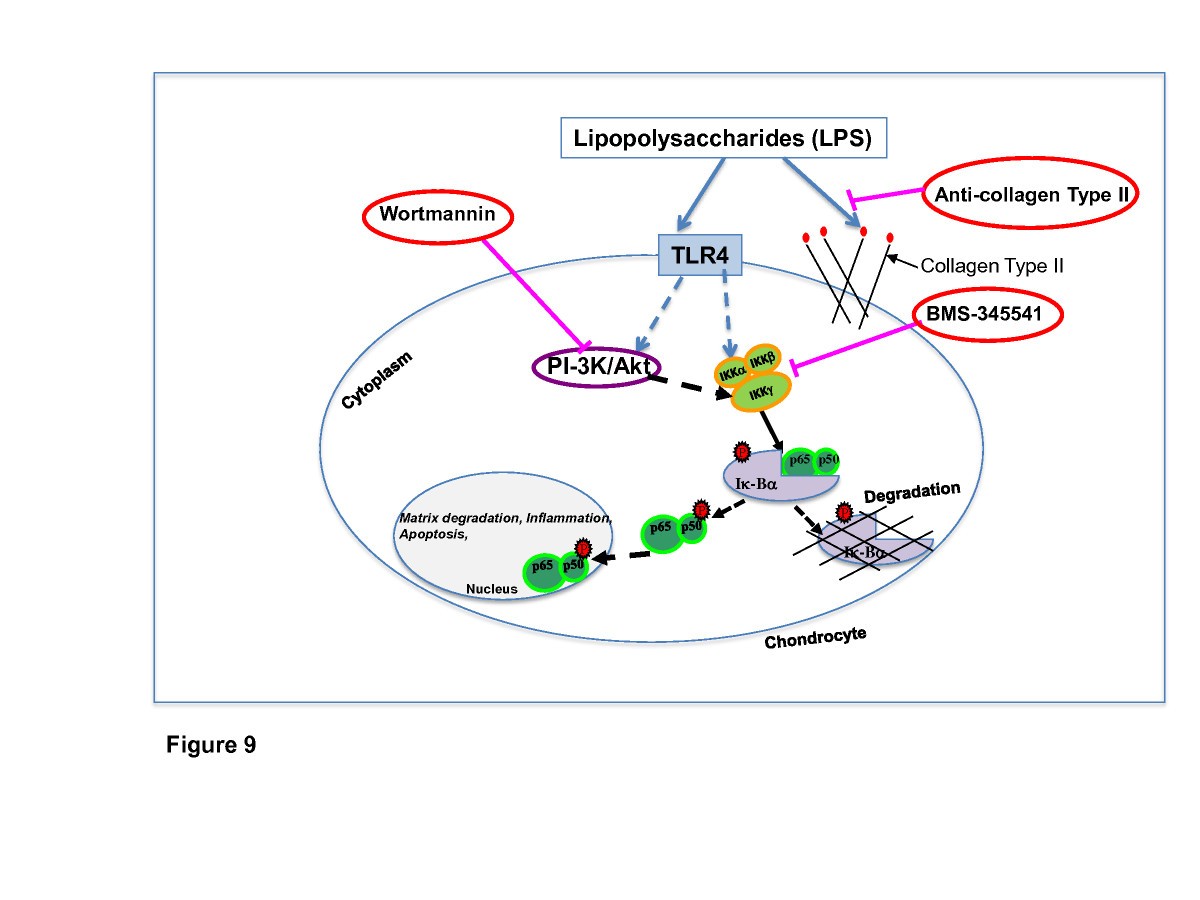 Figure 9