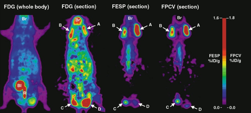 Supplementary Figure 1