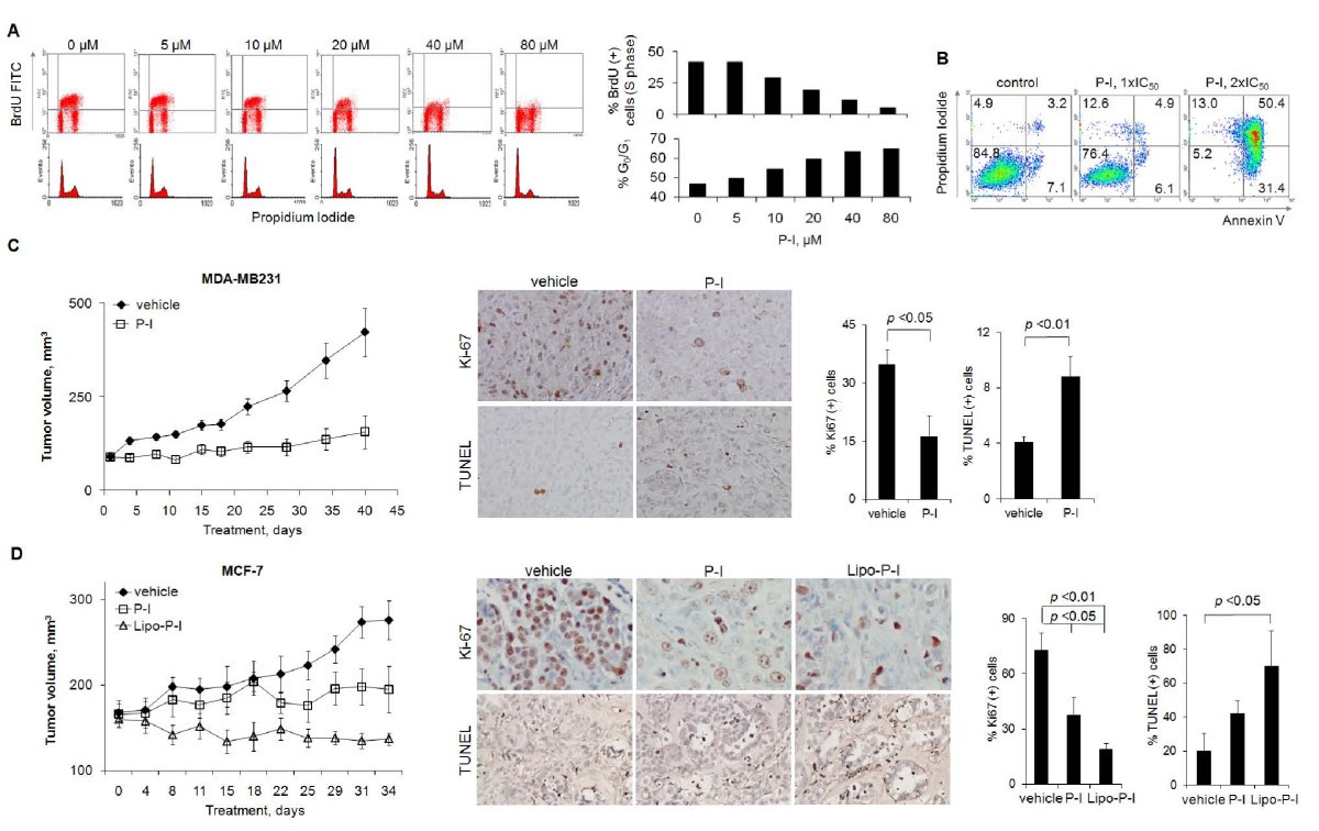 Phospho-ibuprofen (MDC-917) suppresses breast cancer growth: an effect  controlled by the thioredoxin system | Breast Cancer Research | Full Text