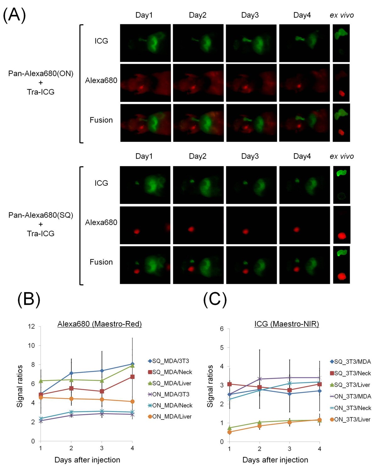 Figure 4