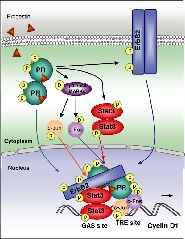 Figure 10