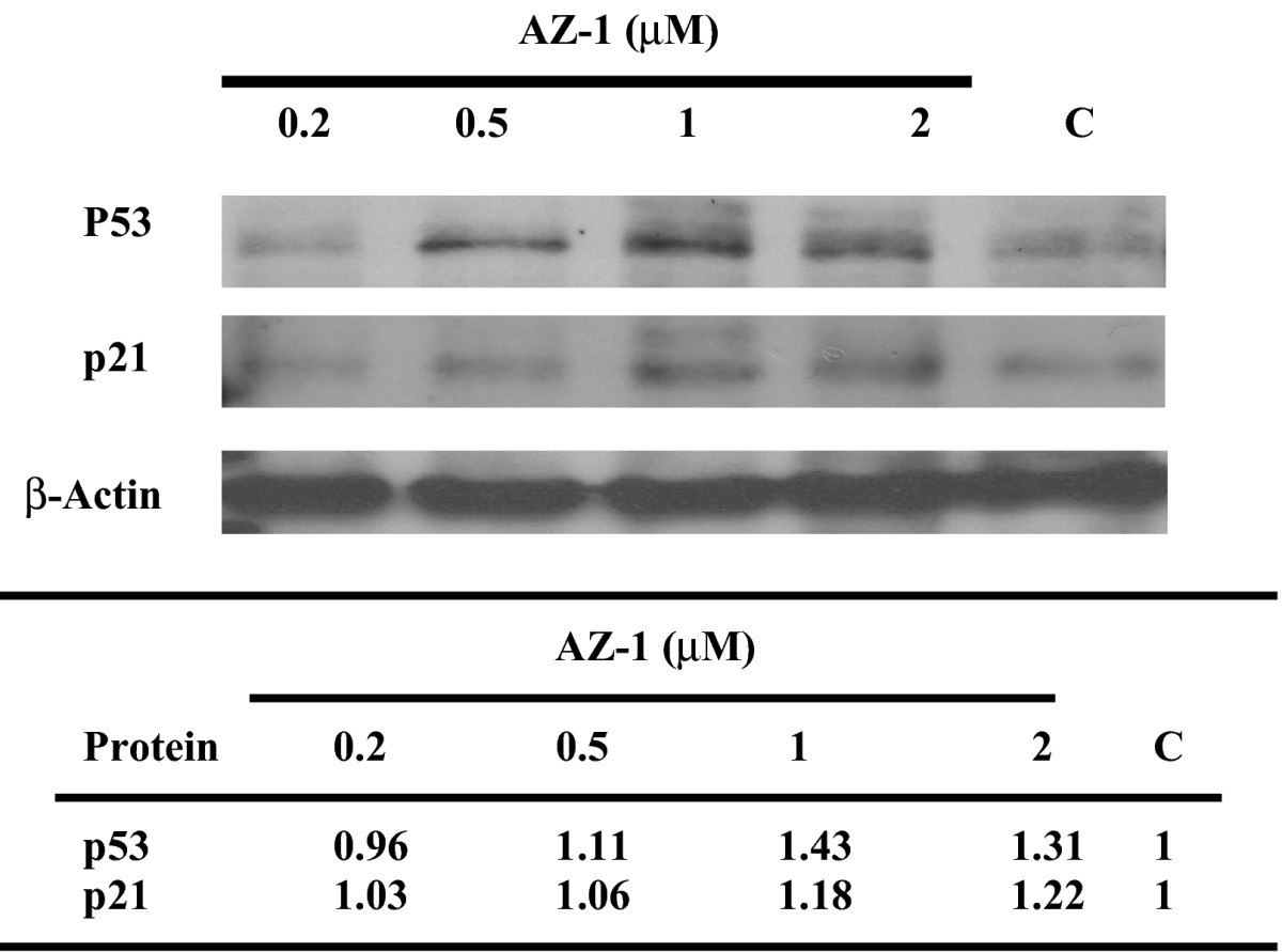 Figure 7