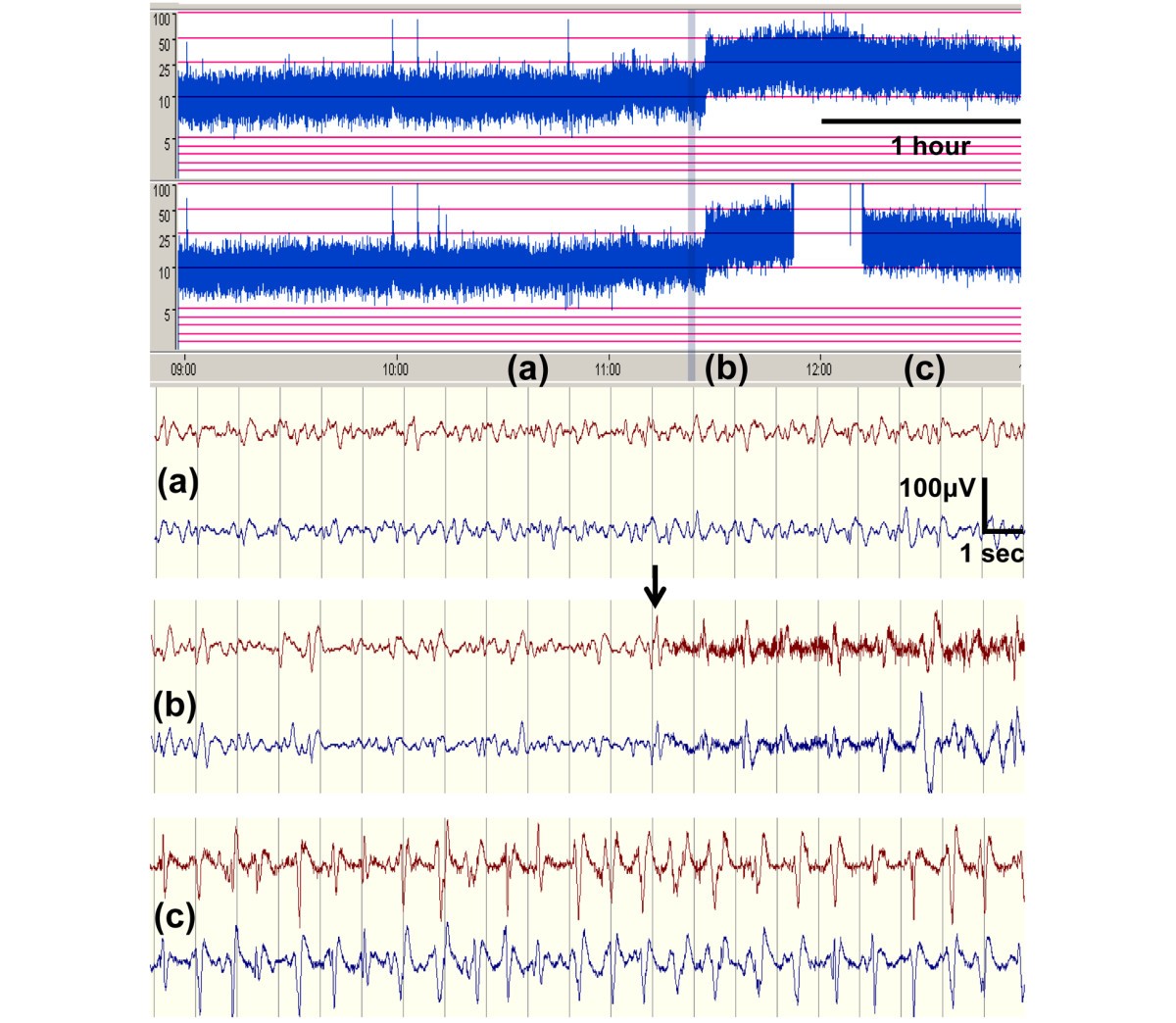 Figure 5