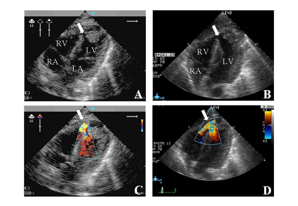 Figure 5