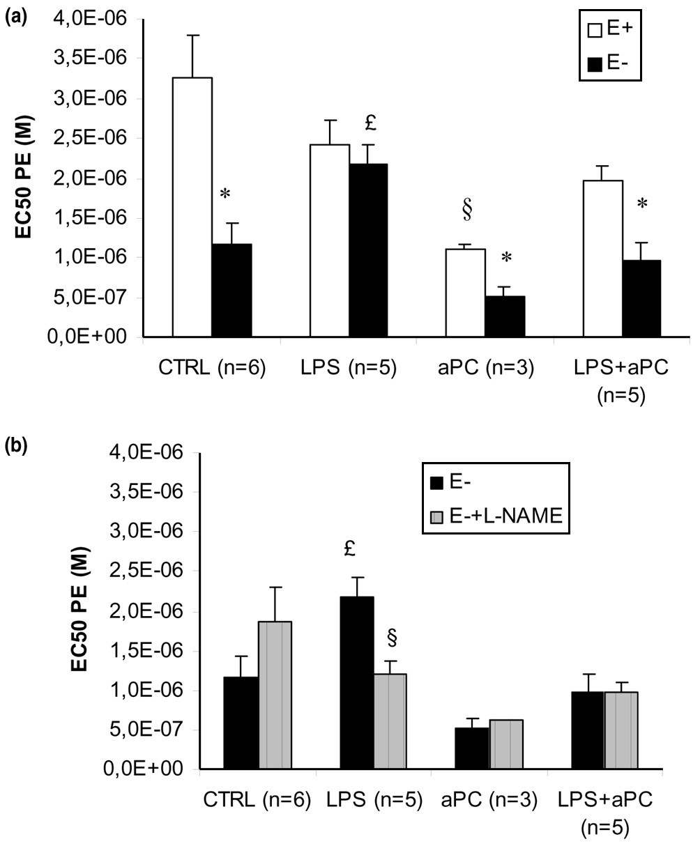 Activated protein C increases sensitivity to vasoconstriction in rabbit  Escherichia coli endotoxin-induced shock | Critical Care | Full Text