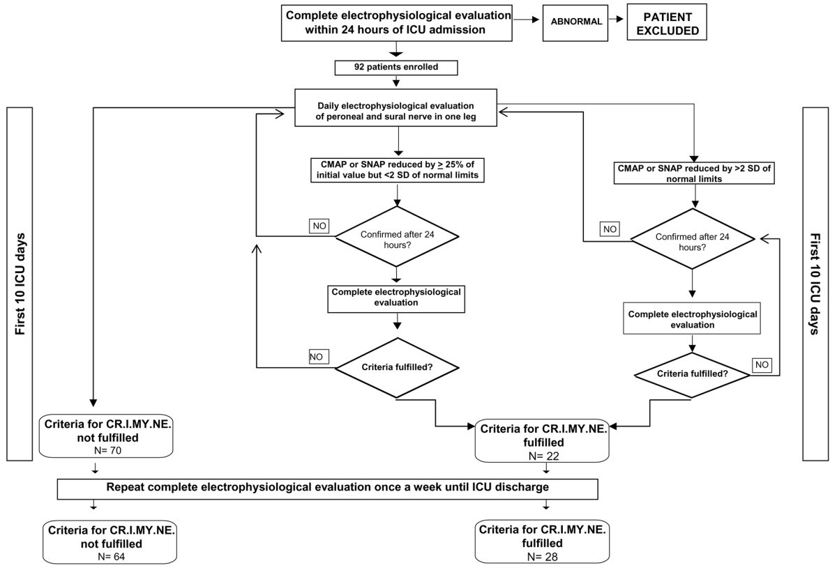 Nerve Flow Chart