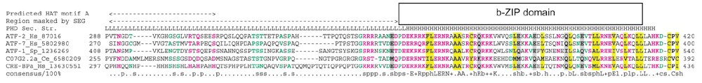 Figure 7