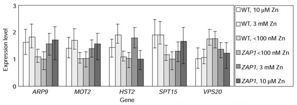 Figure 10