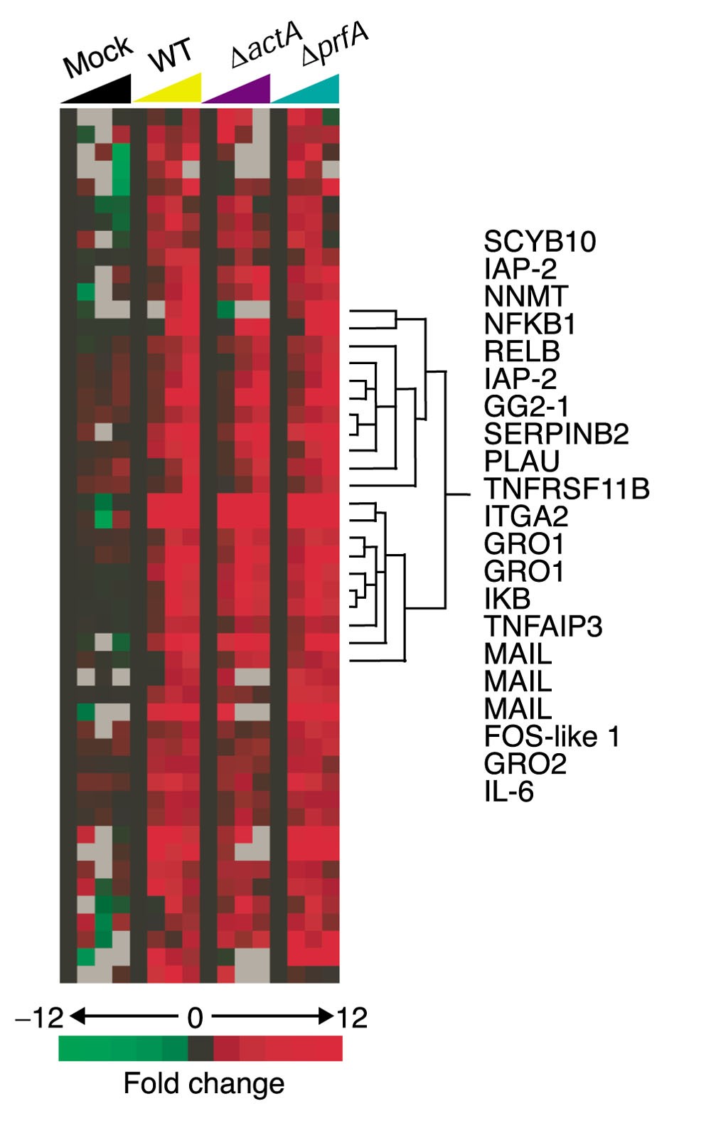 Figure 6