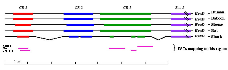 Figure 1a