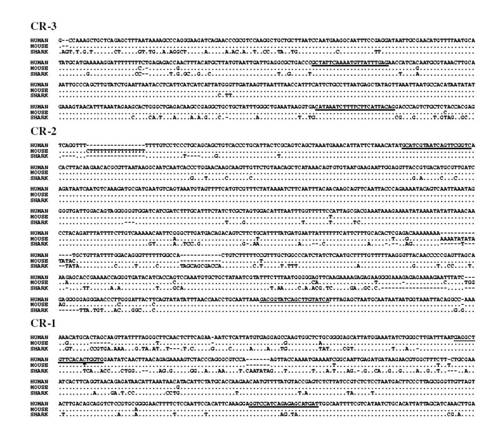 Figure 1b