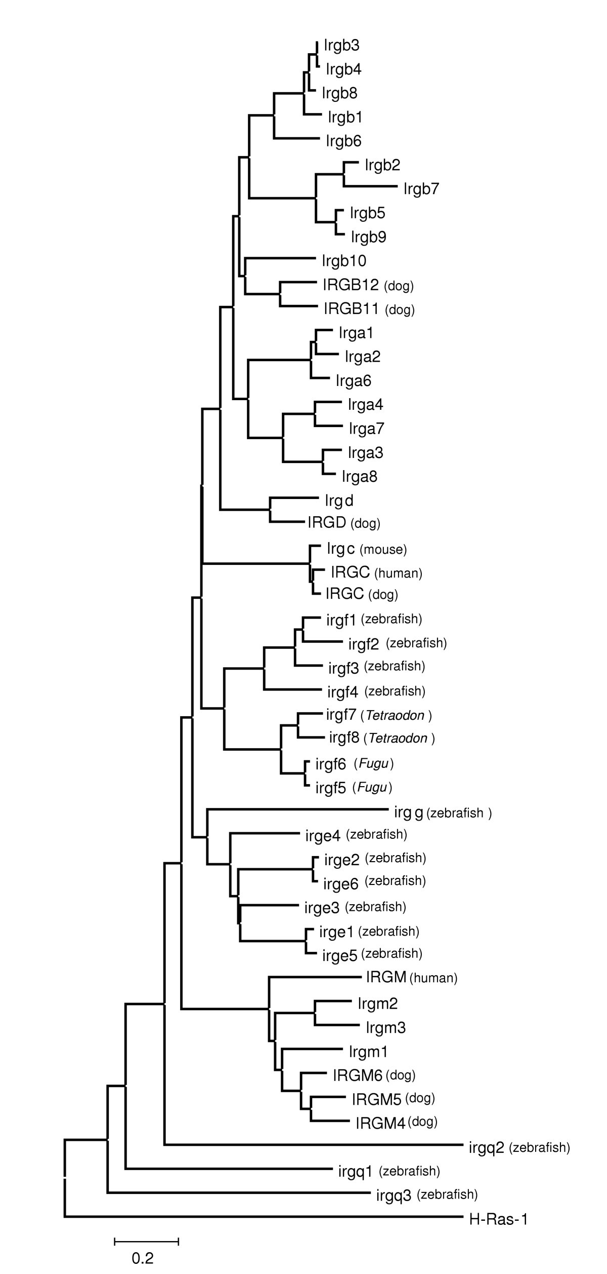 Figure 5