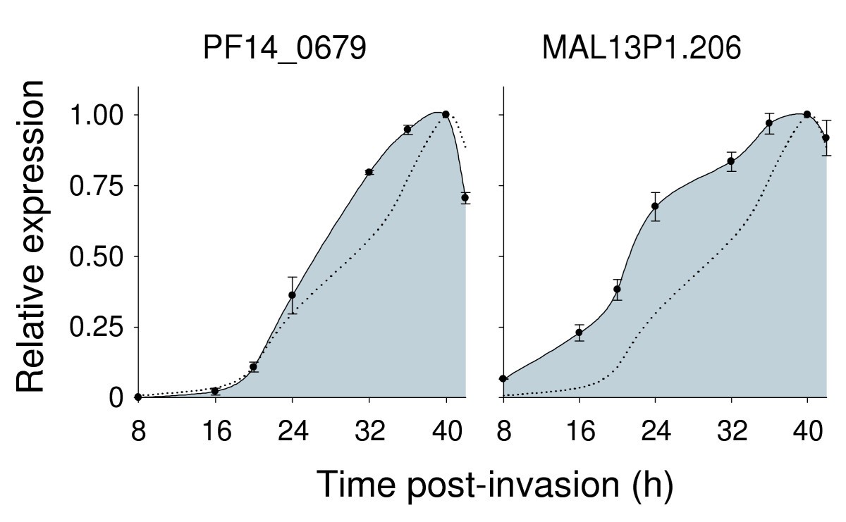 Figure 11