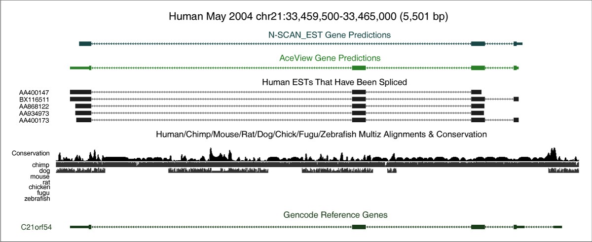 Figure 7