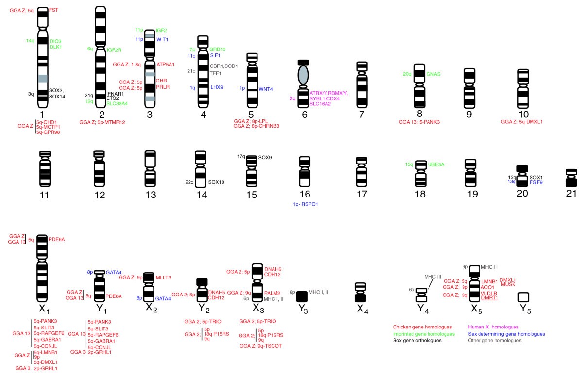 Figure 12