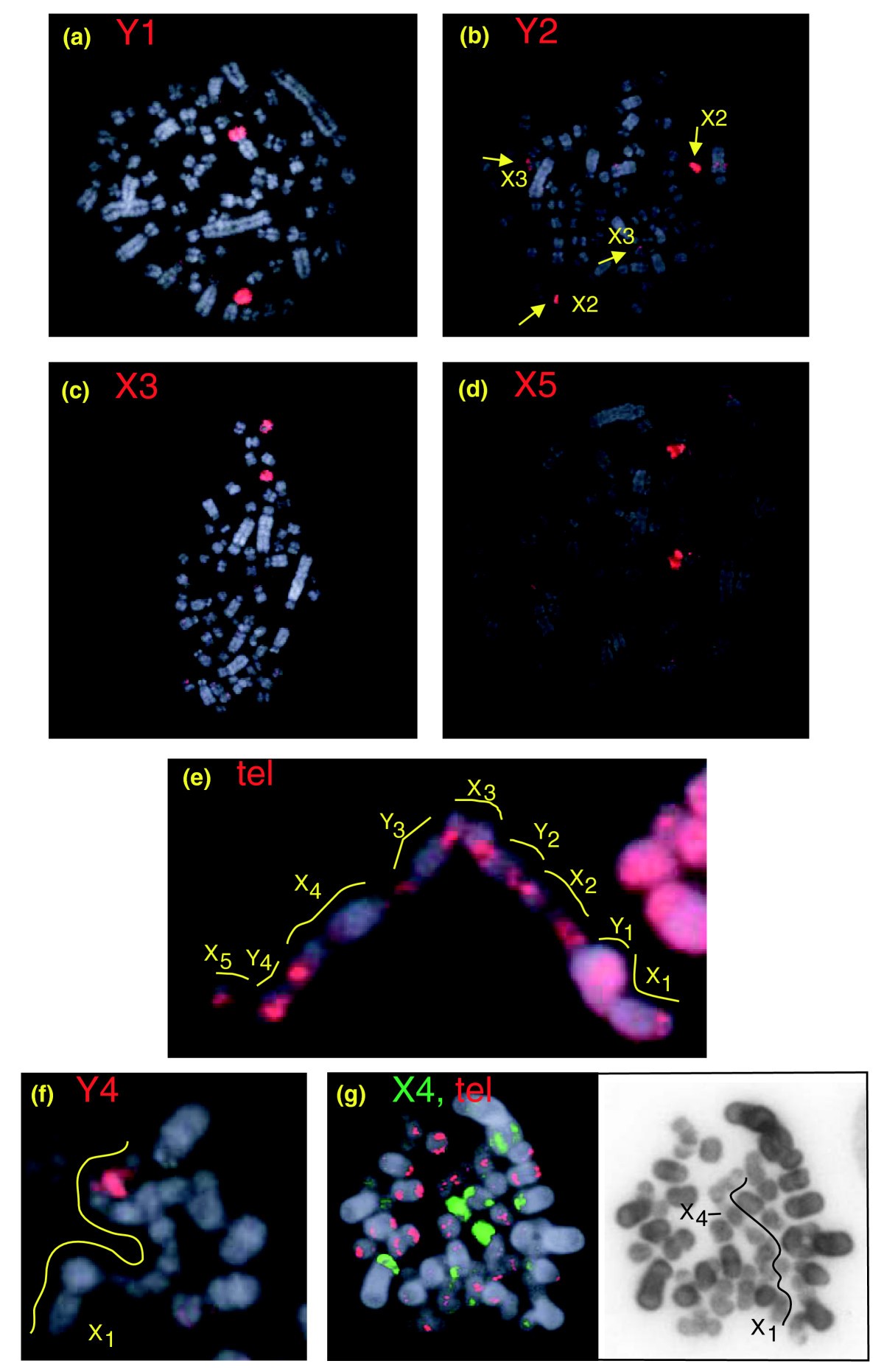 Figure 5