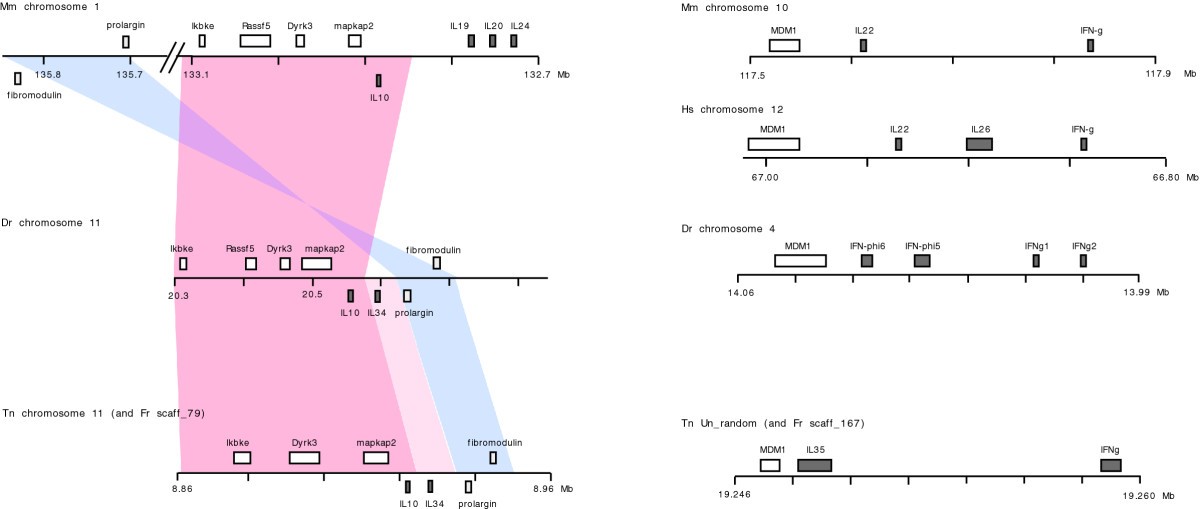 Figure 11