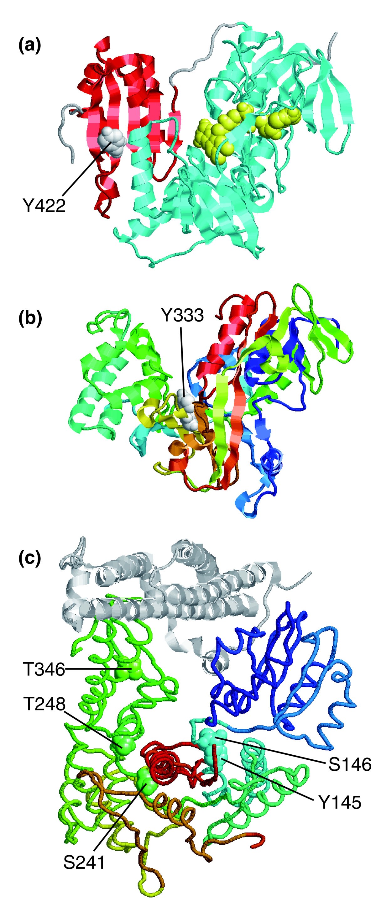 Figure 9