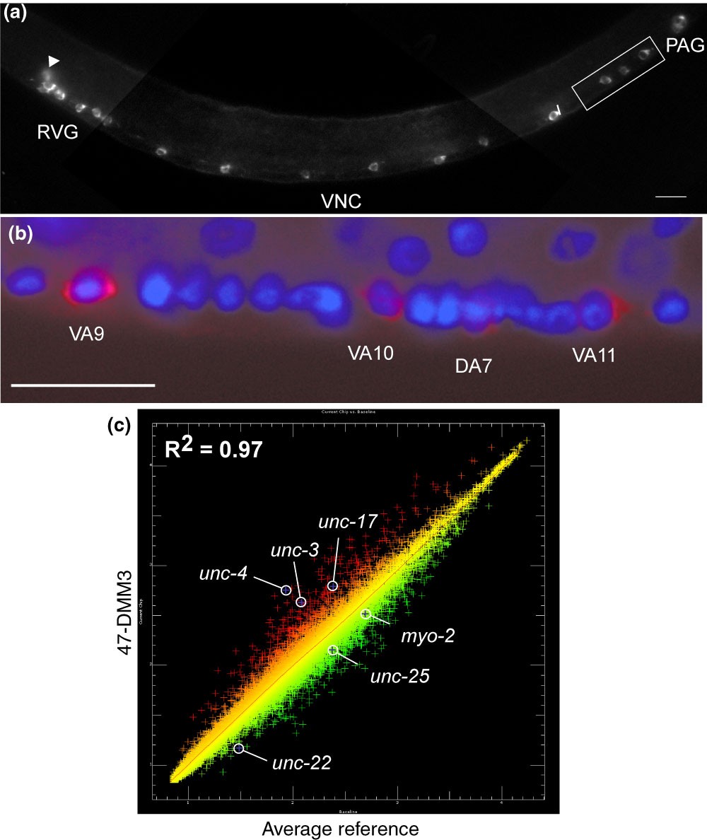 Figure 11