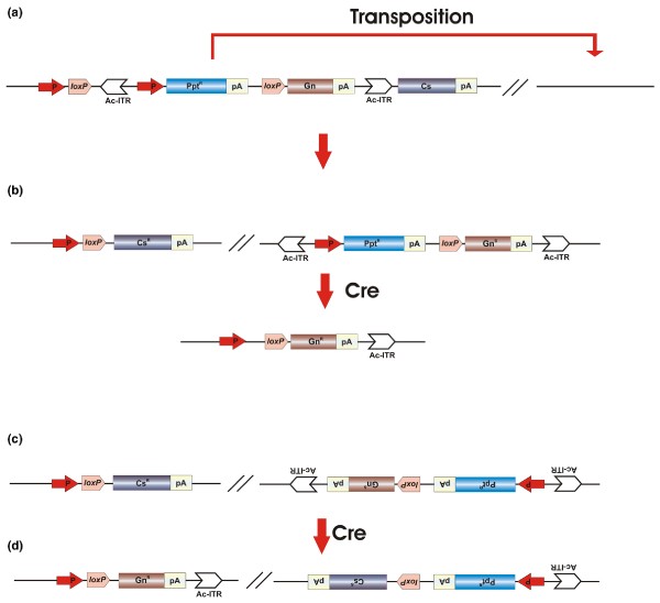 Figure 4