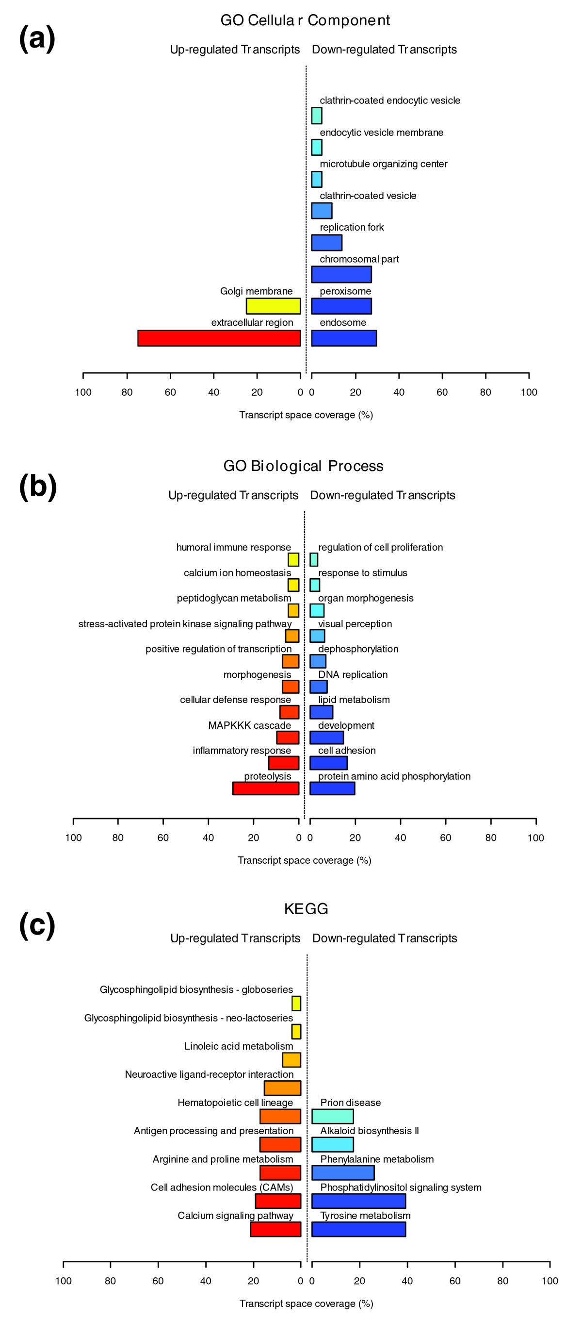 Figure 13