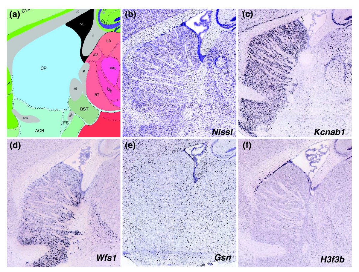 Figure 11