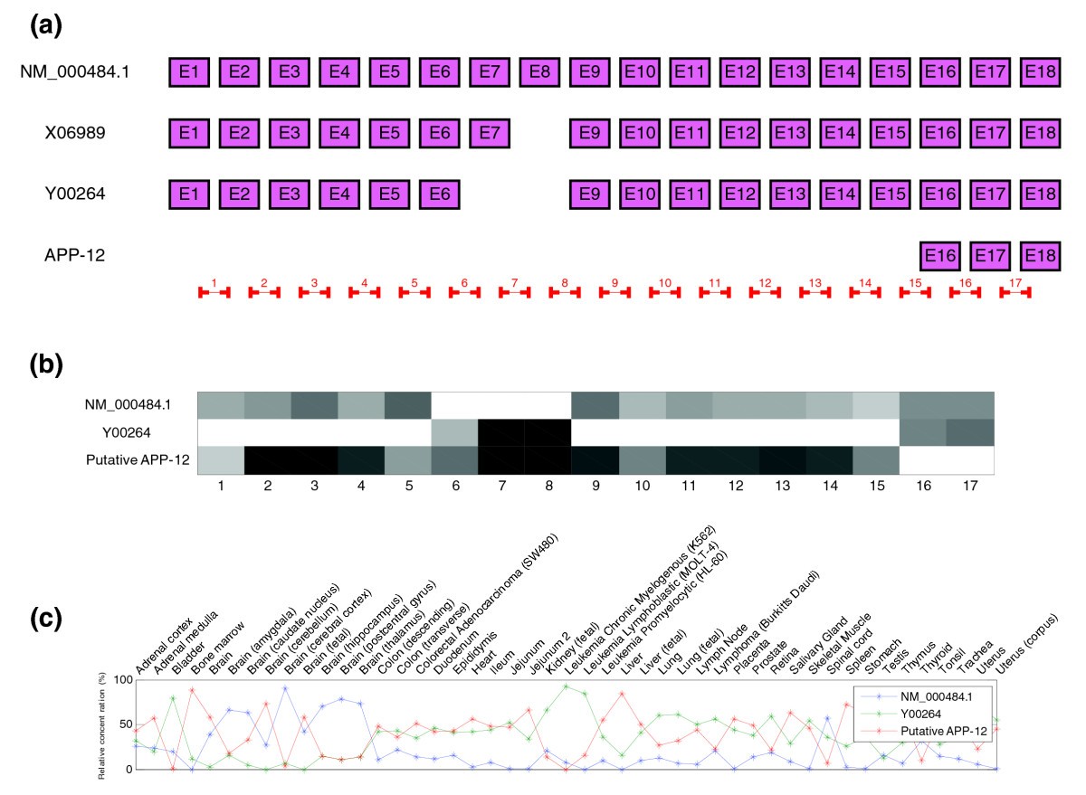 Figure 10