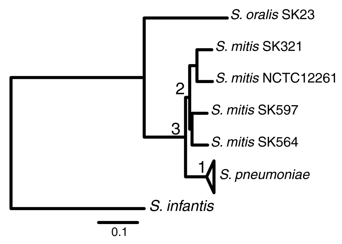 Figure 9