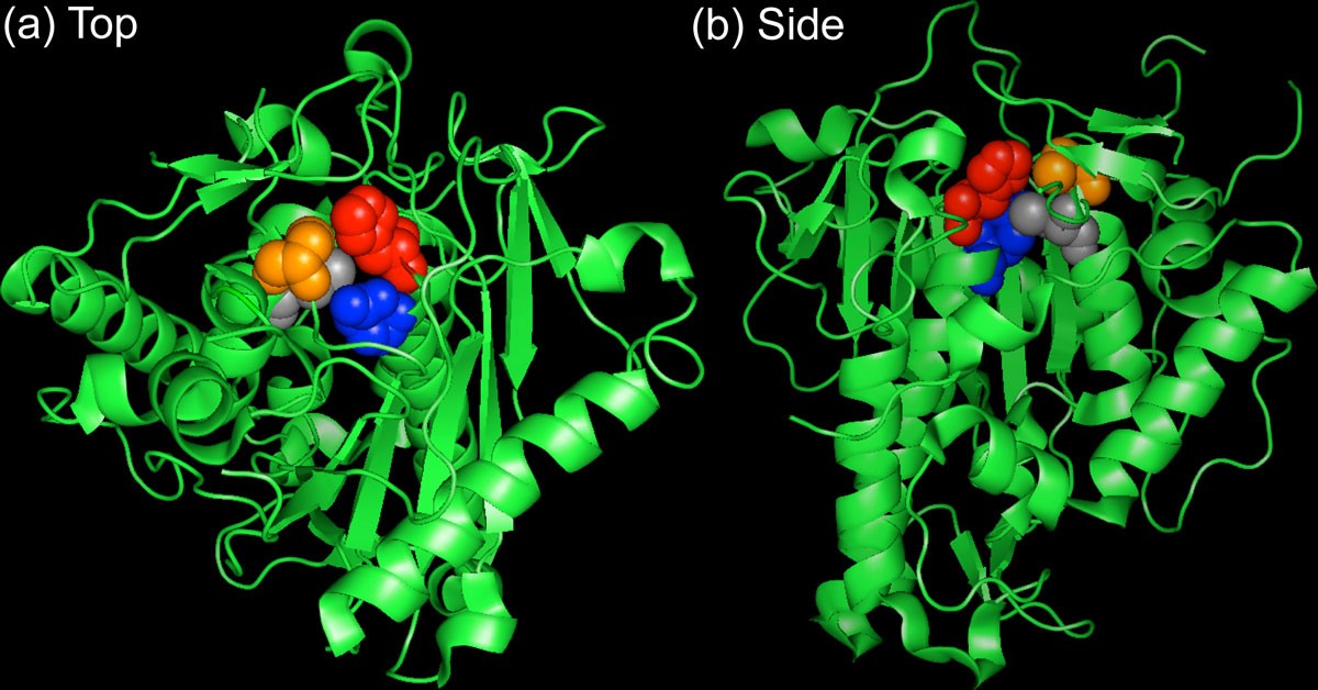 Figure 2