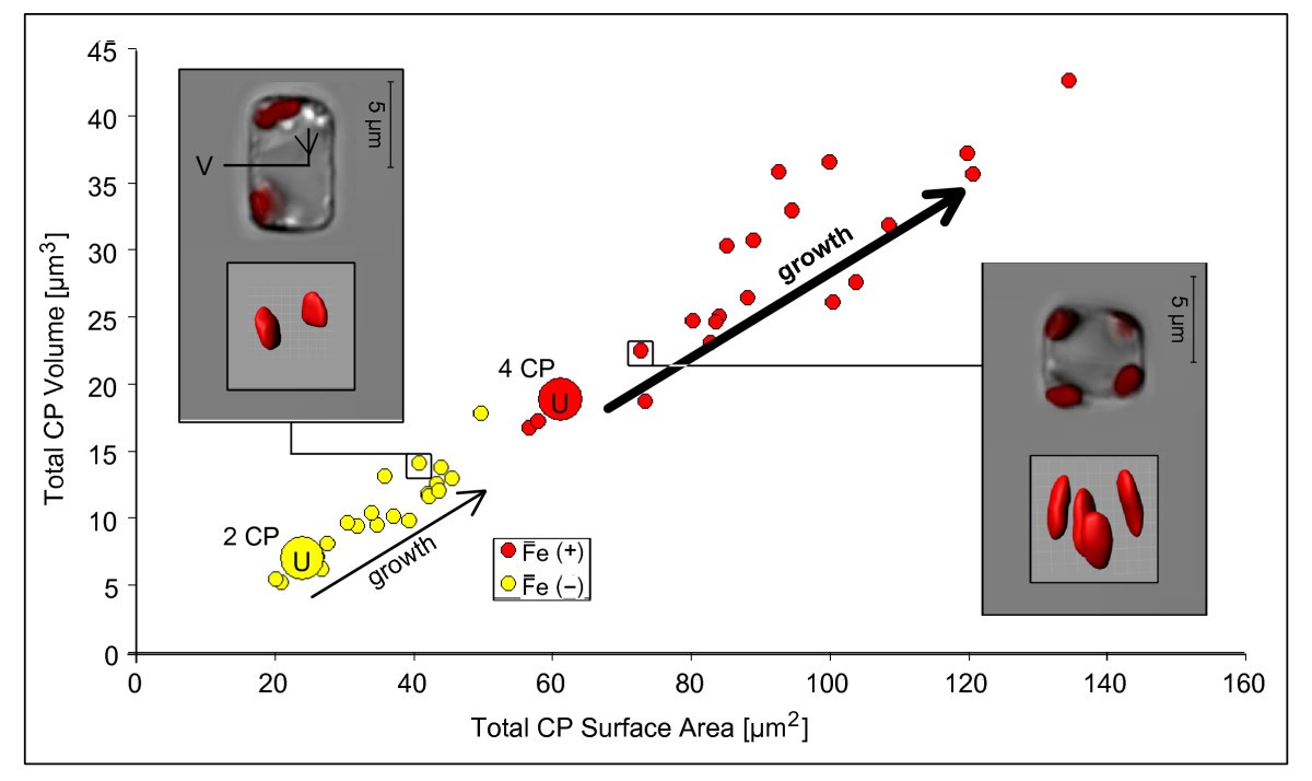 Genome and low-iron response of an oceanic diatom adapted to chronic iron  limitation | Genome Biology | Full Text