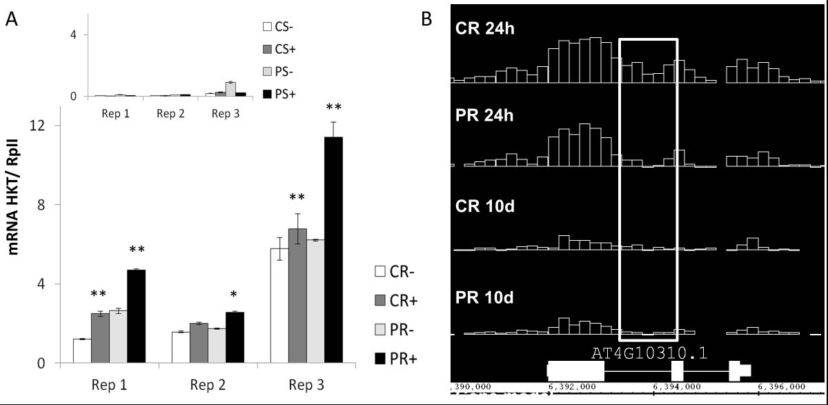 Figure 10