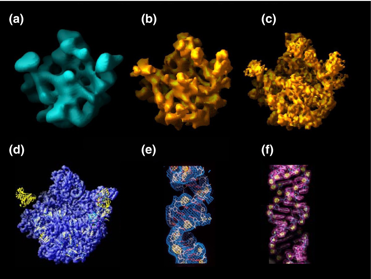 Figure 2