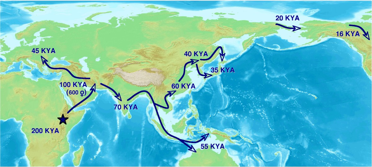 timing the first human migration into eastern asia journal of