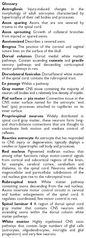 Glossary