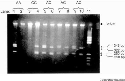 Supplementary Figure 2