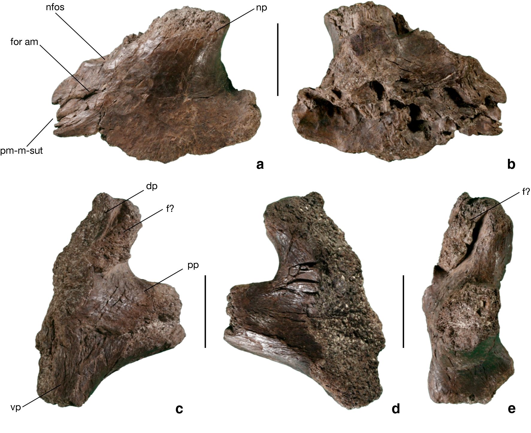 Fig. 2