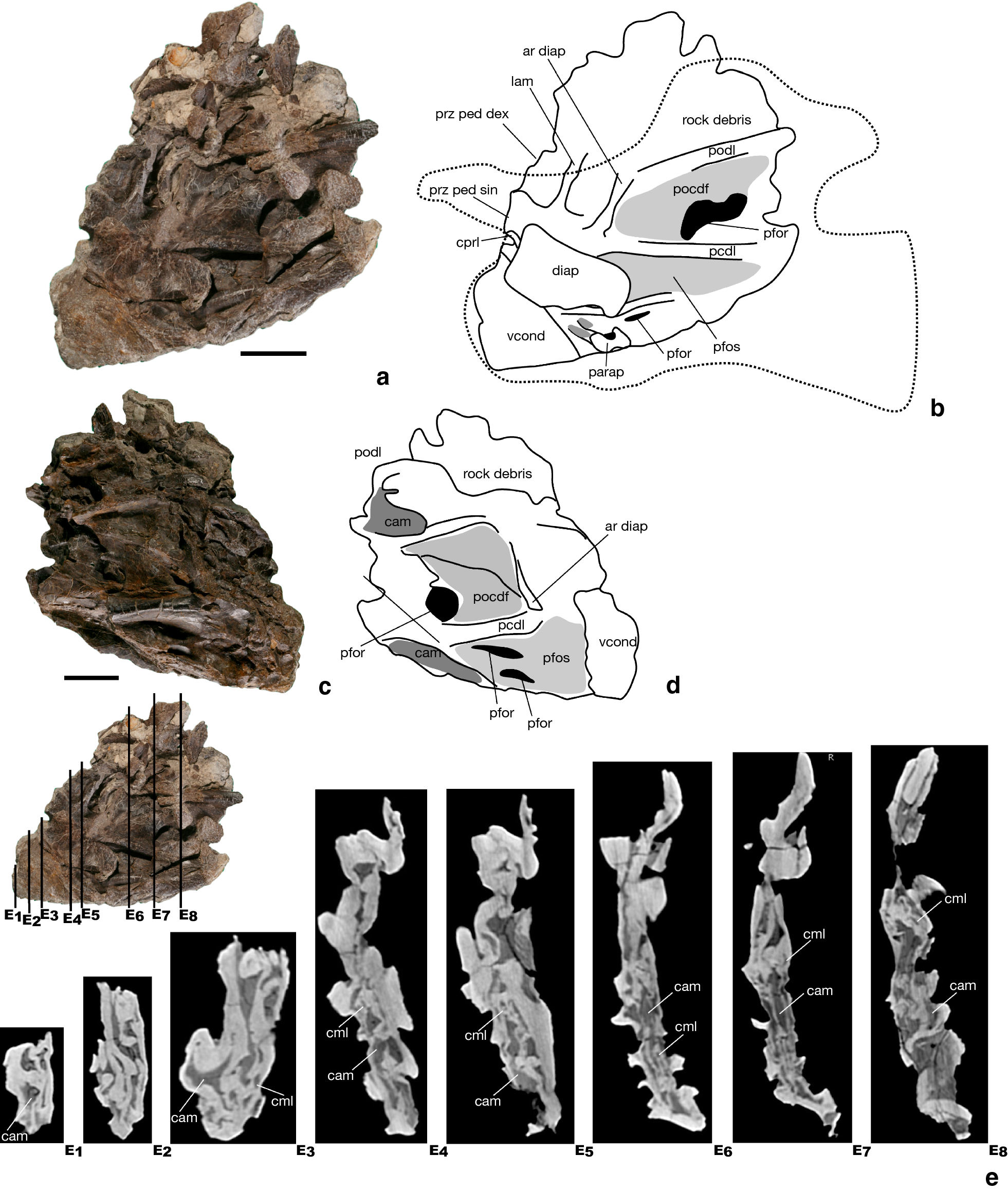 Fig. 4