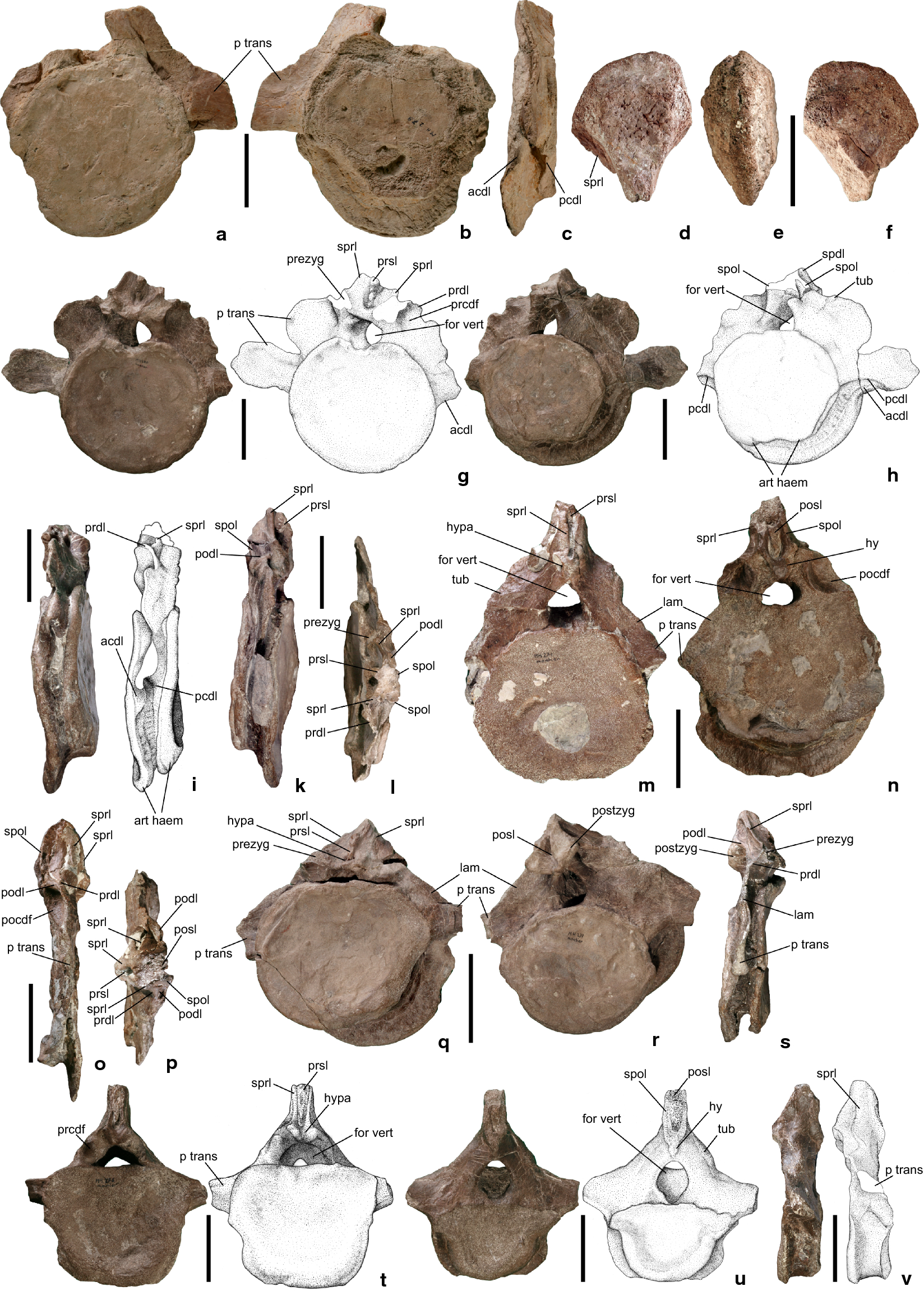 Fig. 7