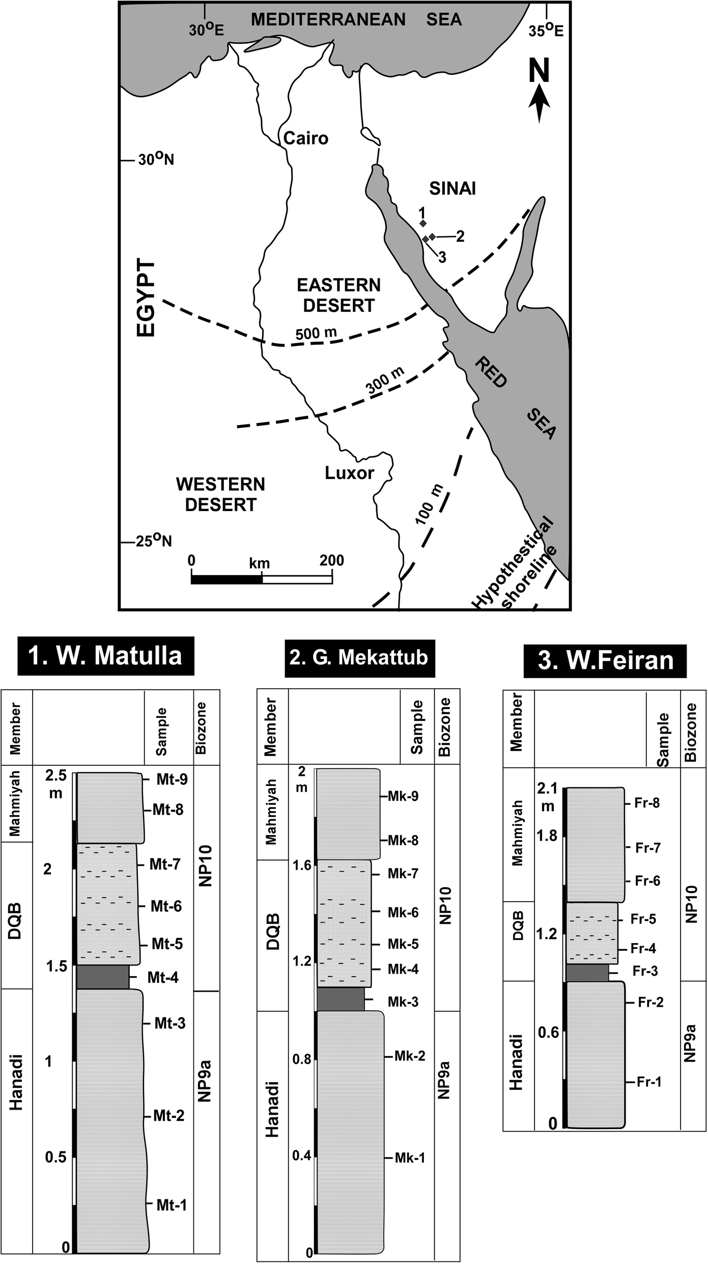 Fig. 1