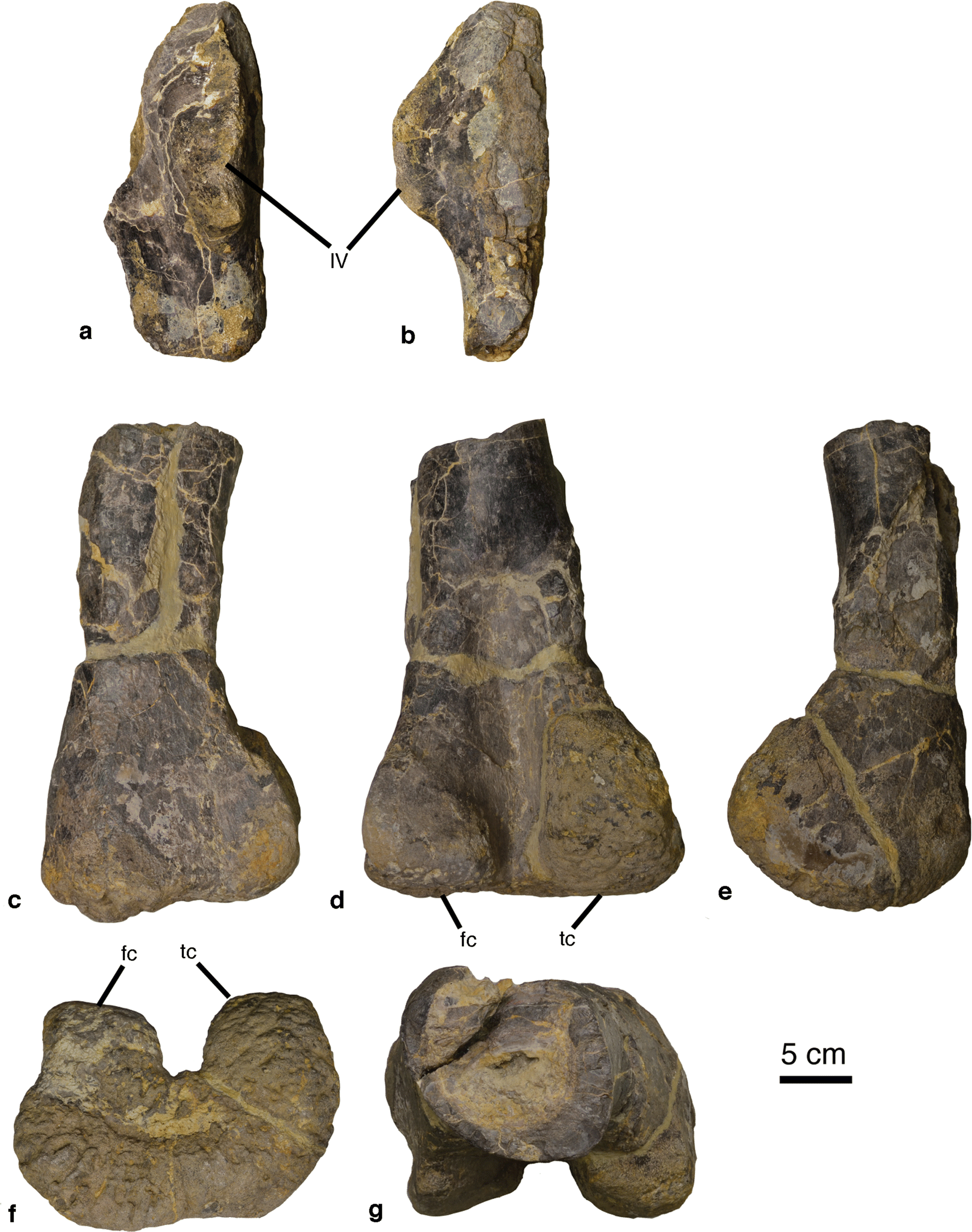 Fig. 10