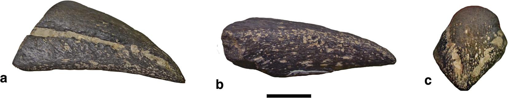 Fig. 11