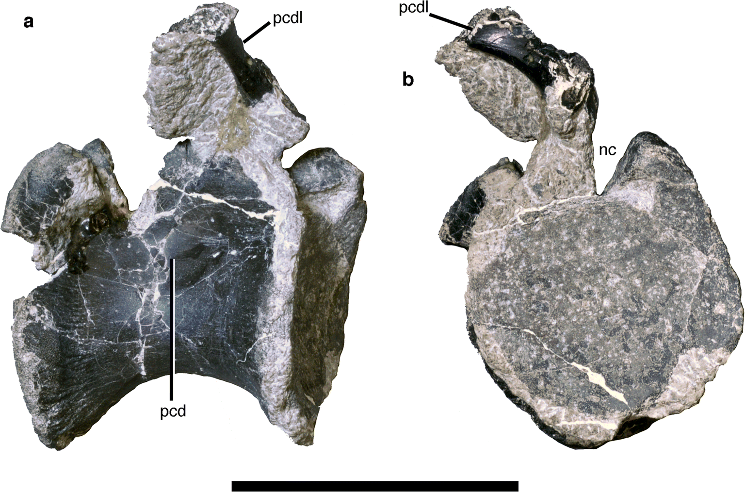 Fig. 16