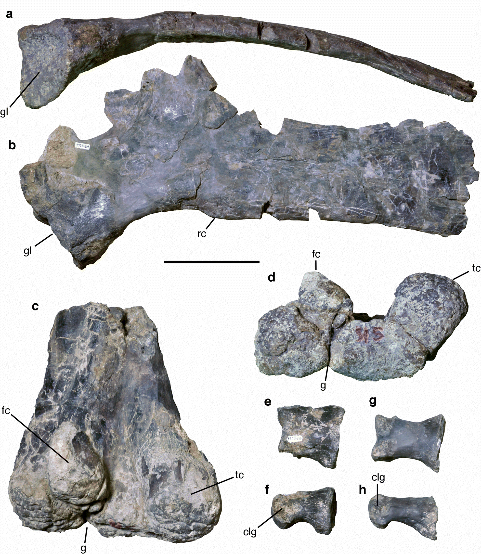 Fig. 17