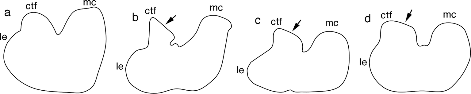 Fig. 20