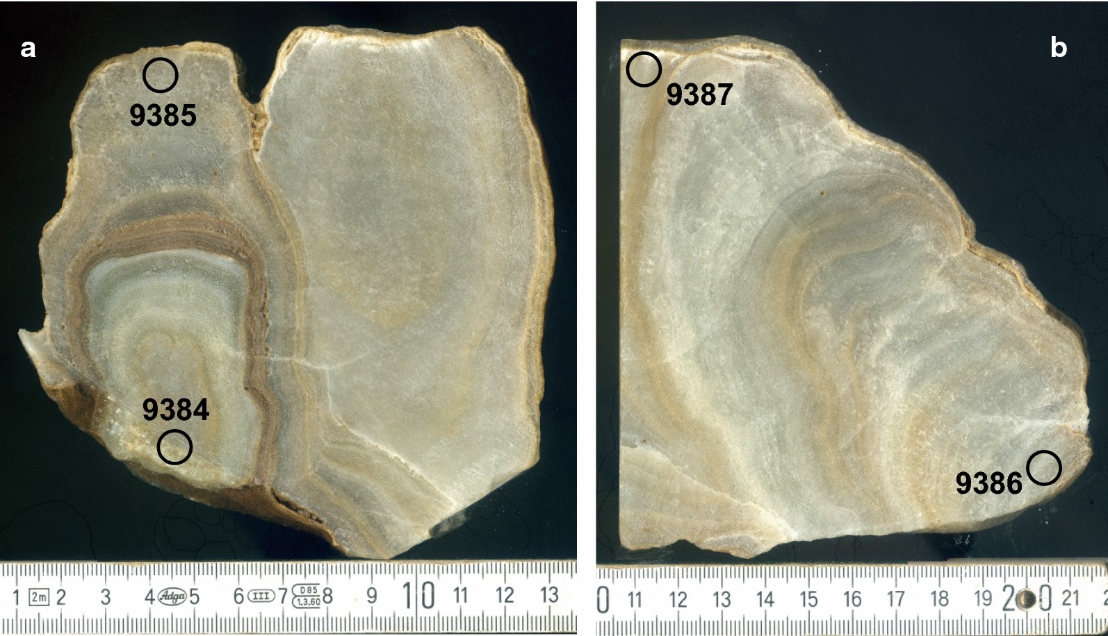 Fig. 7