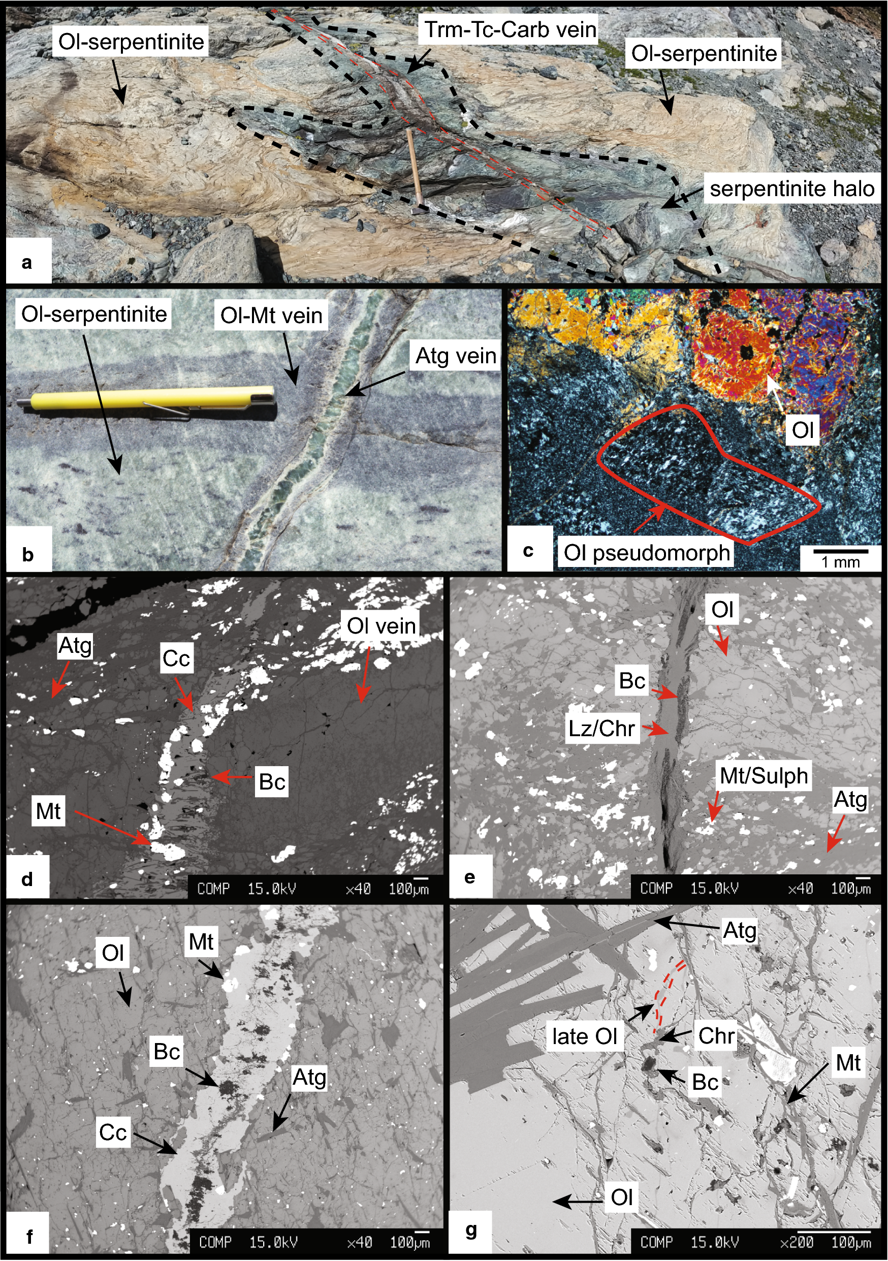 Fig. 7