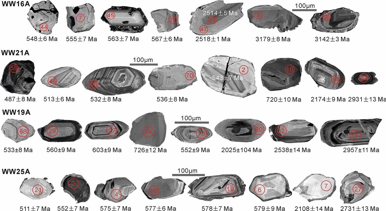 Fig. 8