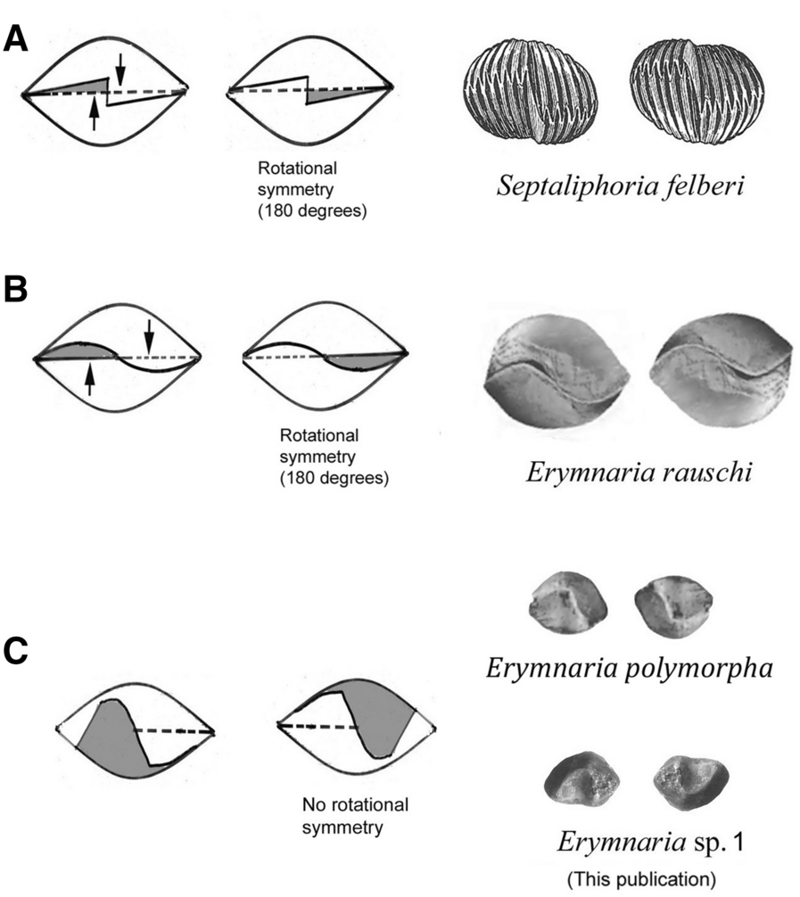 Fig. 11