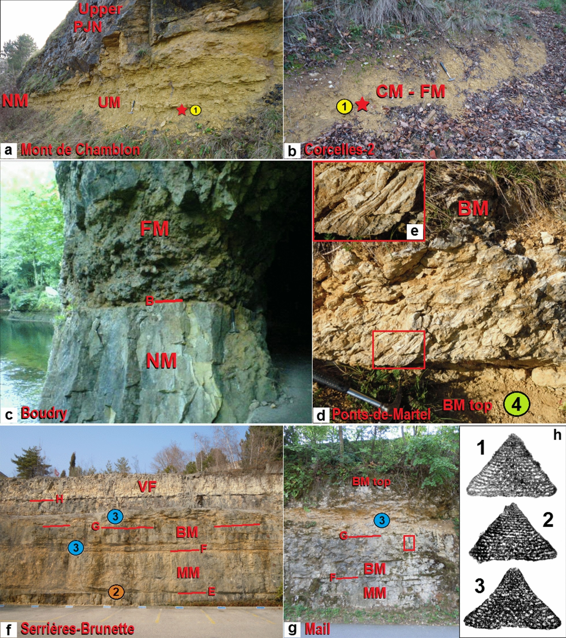 Fig. 7